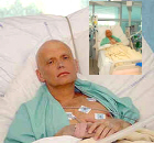 Litvinenko morir tranquilamente en cuidados intensivos