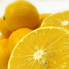 Lemon, a monument of