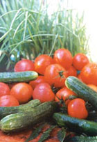 Prevención de las enfermedades de tomates y pepinos