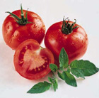 Tomatoes Tomatoes