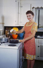 To be or not to be a housewife?