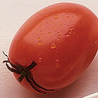 Tomatoes "lick fingers"