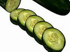"Teschin language" of cucumbers