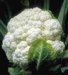 Cauliflower: tasty and beautifully