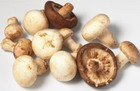 Salting mushrooms