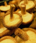 Cold-salted mushrooms