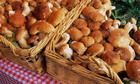 Zasole boiled mushrooms