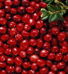 Saft: Apfel-Cranberry "Sweet Dream"