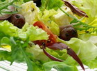 Salata yeşillikleri