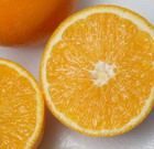 Formaggio-dessert arancia