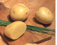 Kartoffel-Diät
