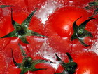 Tomaten in der Tschechischen